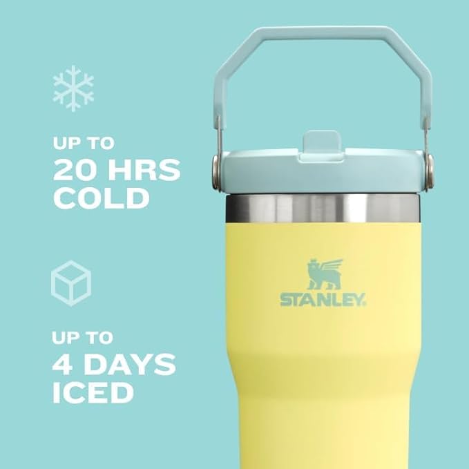 Stanley IceFlow 2.0 Flip Straw Tumbler with Handle 30 oz