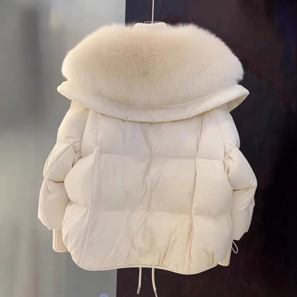 Petite Short Parka Coat: Thick Cotton Jacket with Faux Fur Collar