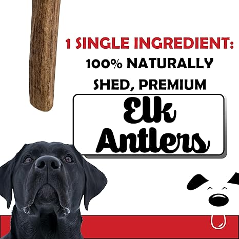 Elk Antlers for Dogs – 100% Naturally Shed, Grade A Split Antlers