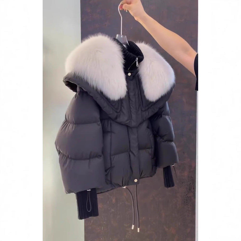 Petite Short Parka Coat: Thick Cotton Jacket with Faux Fur Collar