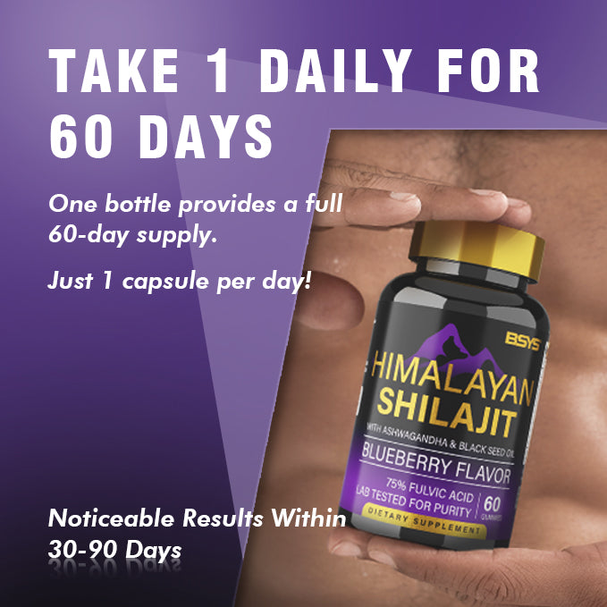 60 Counts BSYS SHILAJIT GUMMIES for Energy