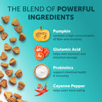 Probiotic Chewable Tablets for Pet Digestive Health