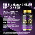 60 Counts BSYS SHILAJIT GUMMIES for Energy