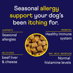 Finn Allergy & Itch Relief for Dogs – 90 Soft Chews