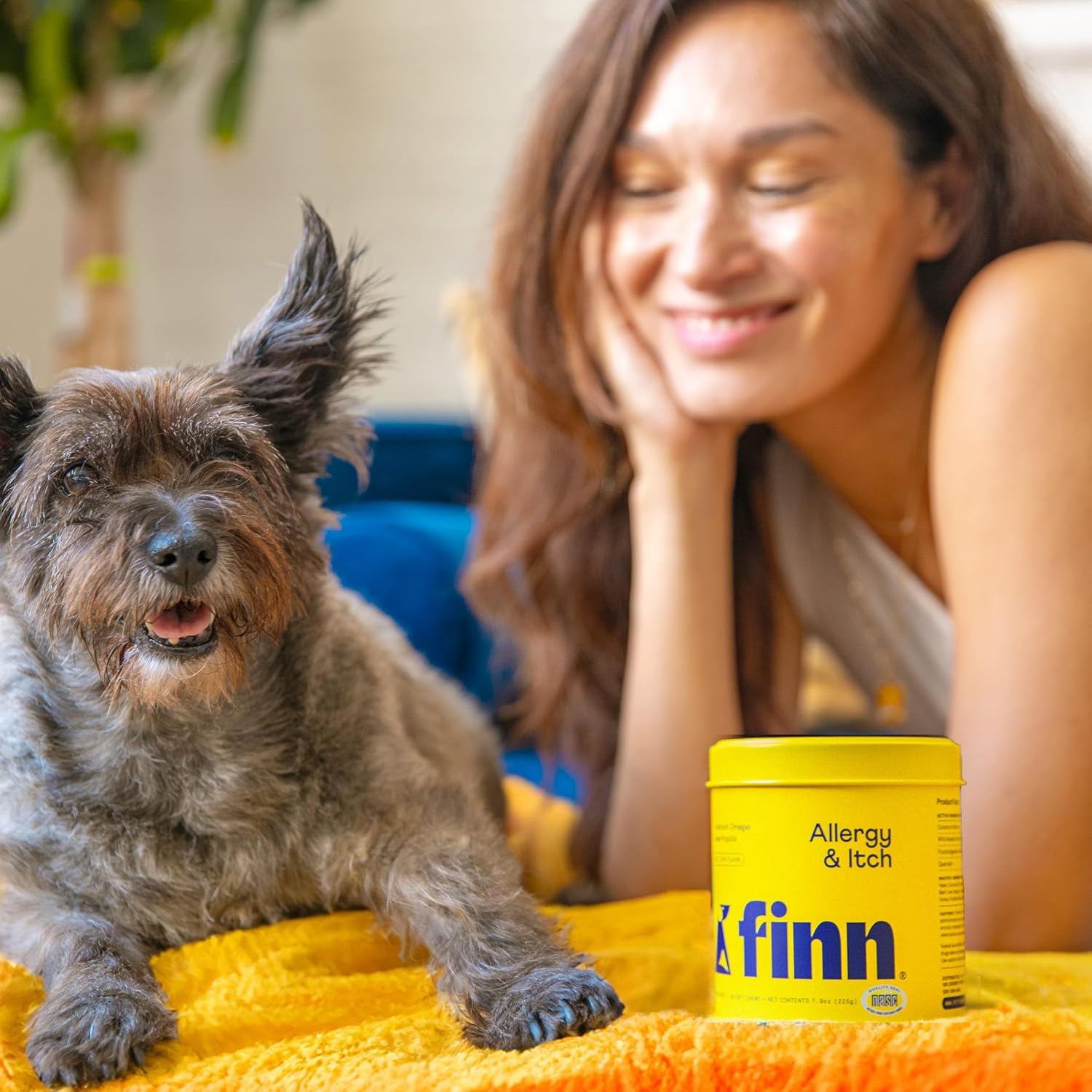 Finn Allergy & Itch Relief for Dogs – 90 Soft Chews