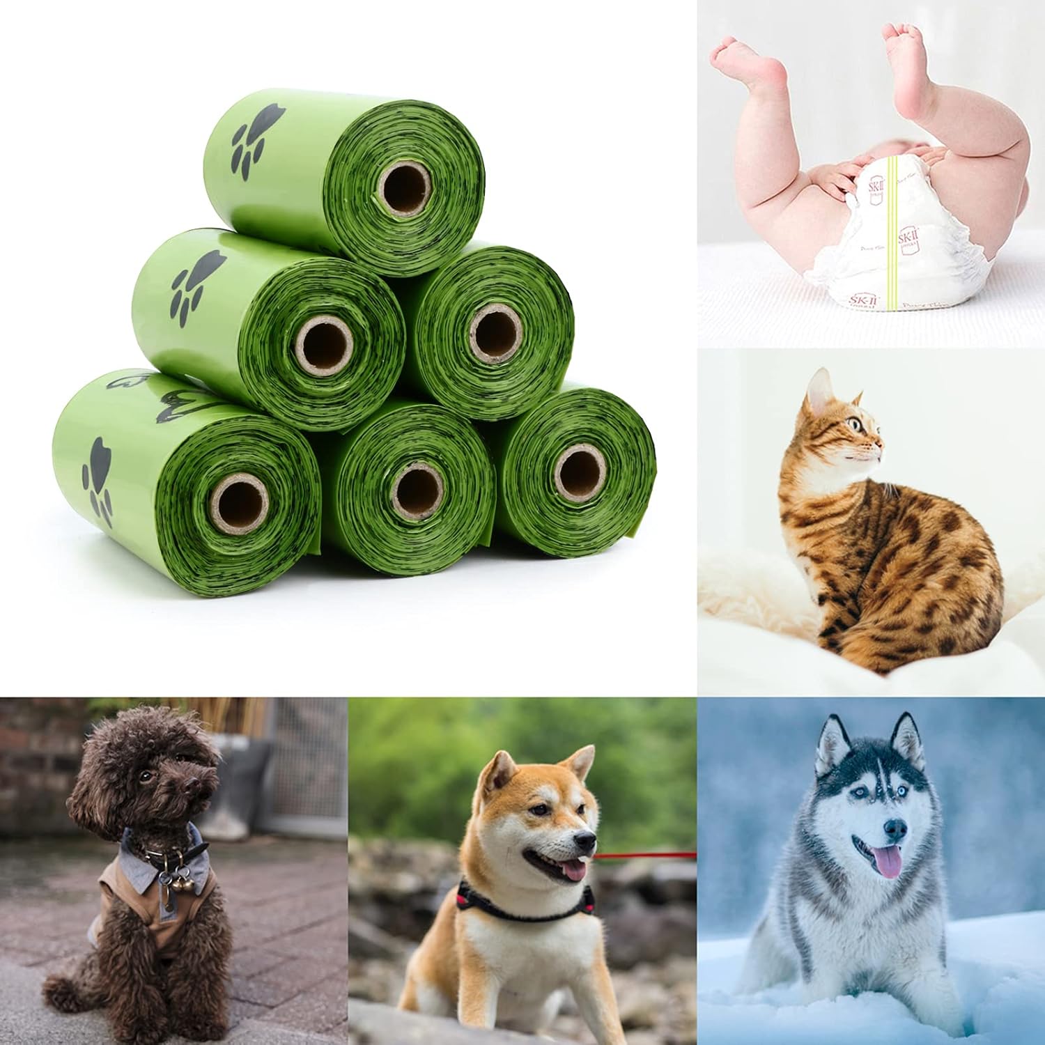Biodegradable Dog Waste Bags, Leakproof & Scented (540)