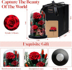 Forever Preserved Rose Flower, 7.48” – Meaningful Gift for Women
