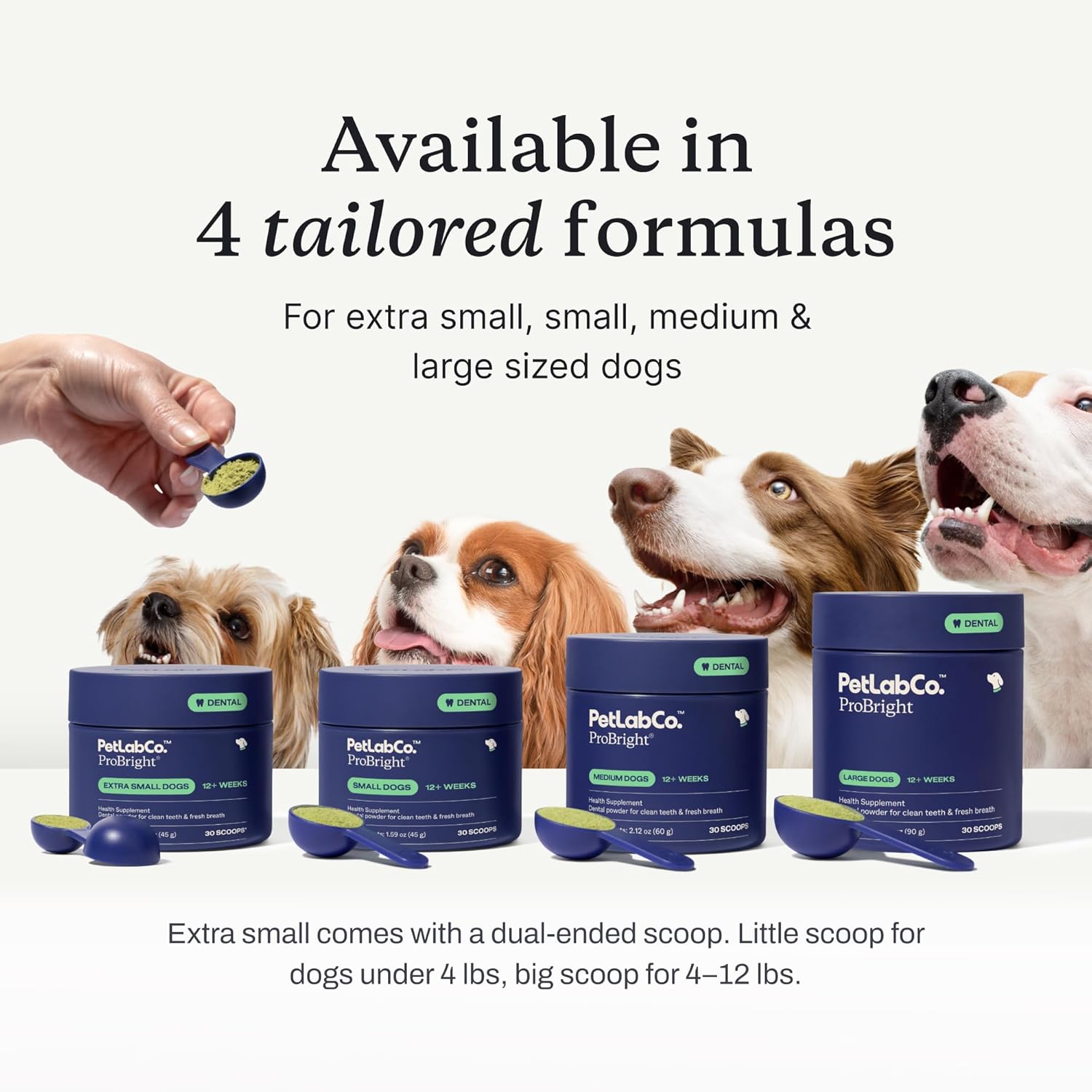 Dog Dental Powder for Tartar & Bad Breath (Small Dogs)