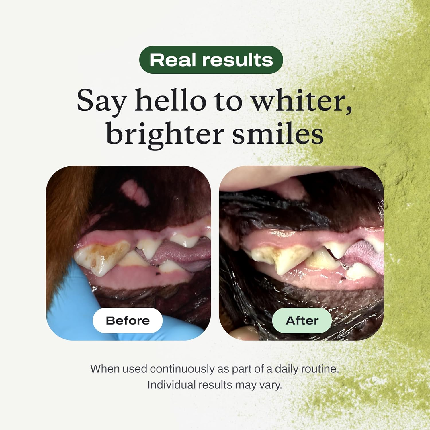 Dog Dental Powder for Tartar & Bad Breath (Small Dogs)