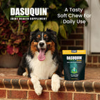Dasuquin Joint Supplement for Large Dogs – 150 Soft Chews