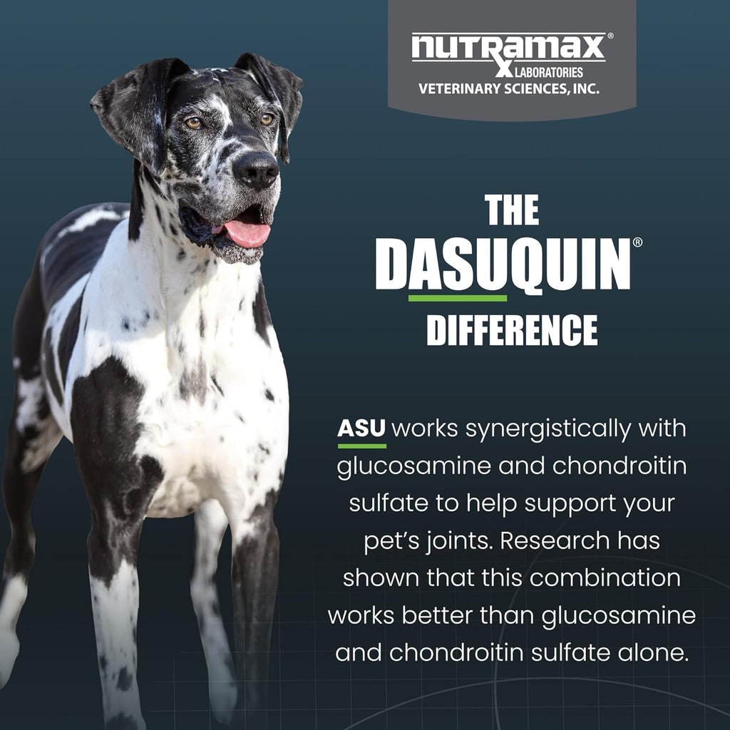 Dasuquin Joint Supplement for Large Dogs – 150 Soft Chews