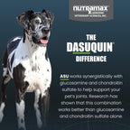 Dasuquin Joint Supplement for Large Dogs – 150 Soft Chews