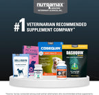 Dasuquin Joint Supplement for Large Dogs – 150 Soft Chews