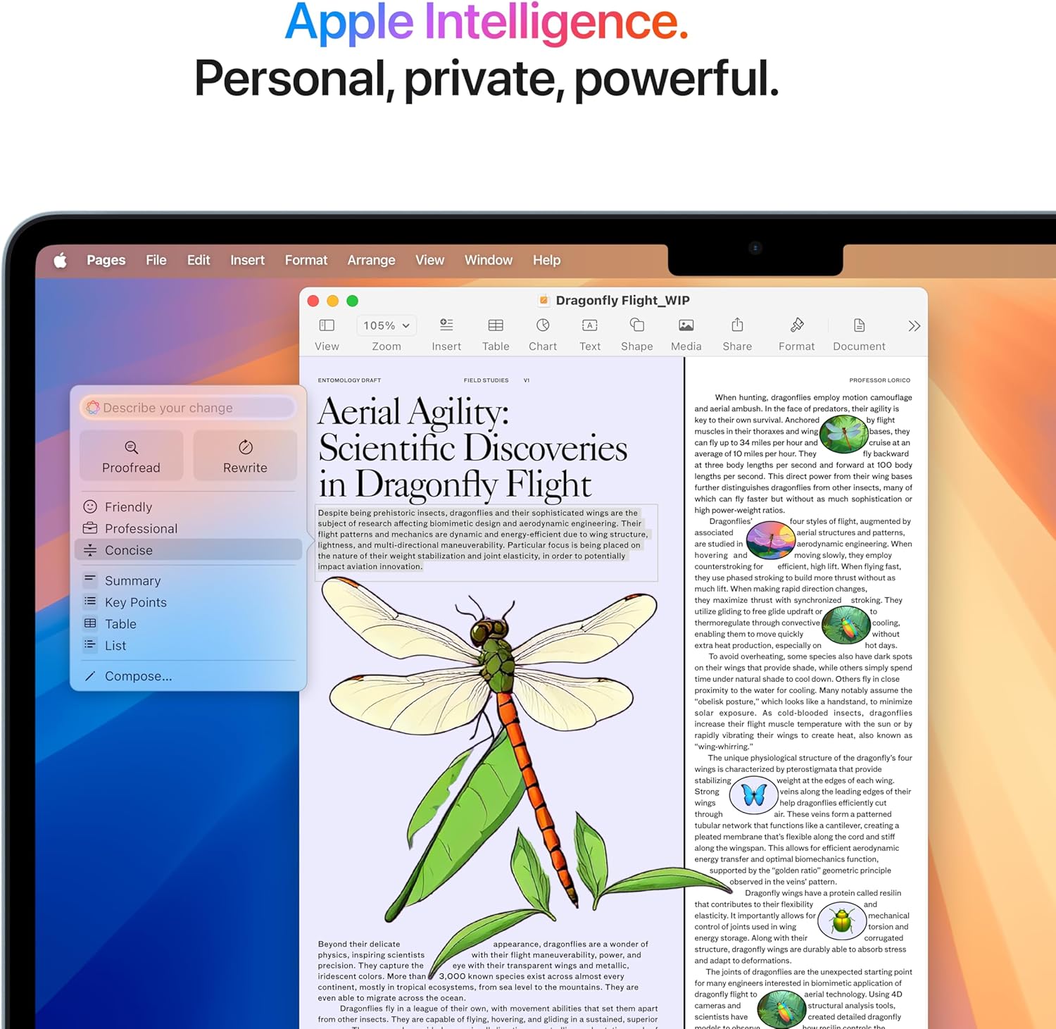 Apple MacBook Air 13” (2025) – M4 Chip, 16GB RAM, 256GB SSD