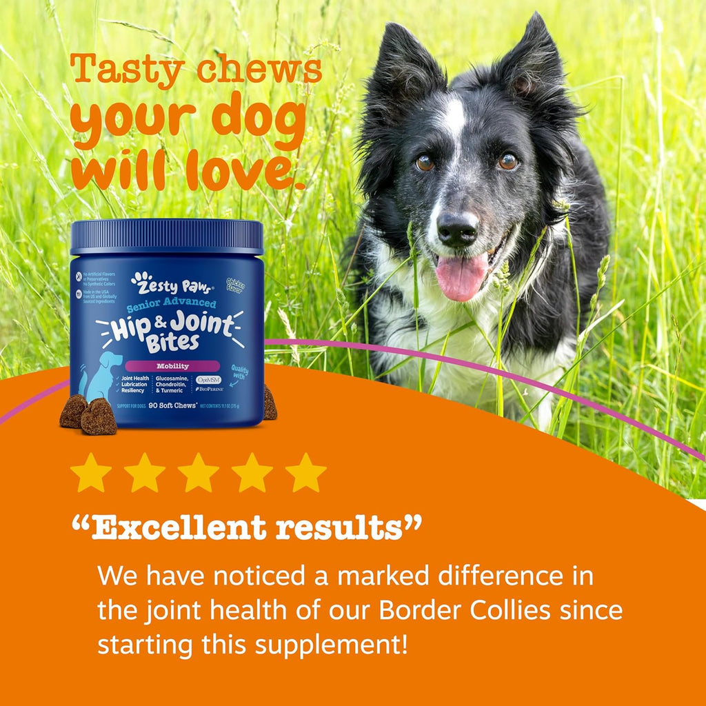 esty Paws Joint Supplement for Dogs, Chicken Flavor