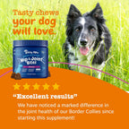 esty Paws Joint Supplement for Dogs, Chicken Flavor