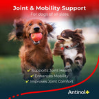 Antinol Plus Dog Joint Supplement – 180 Soft Gels