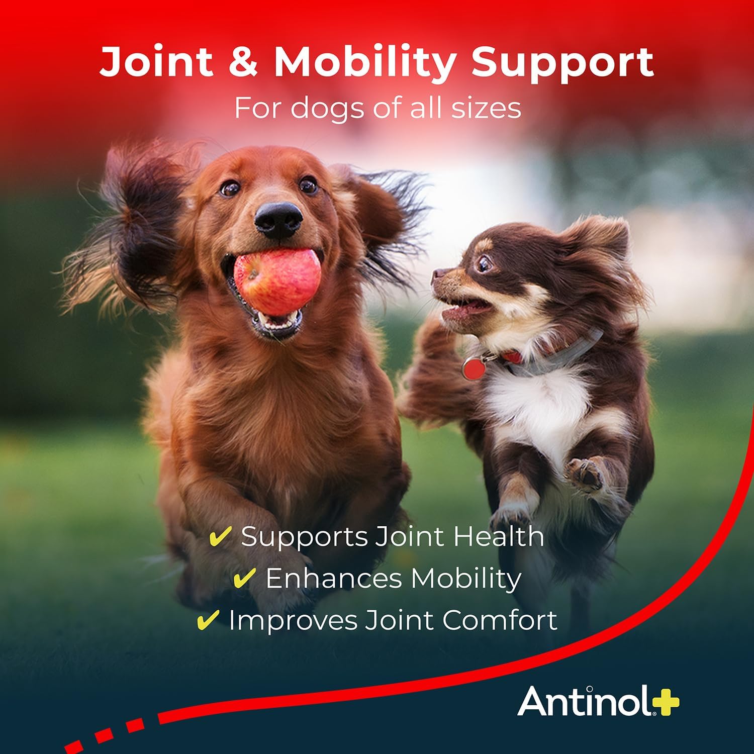 Antinol Plus Dog Joint Supplement – 180 Soft Gels