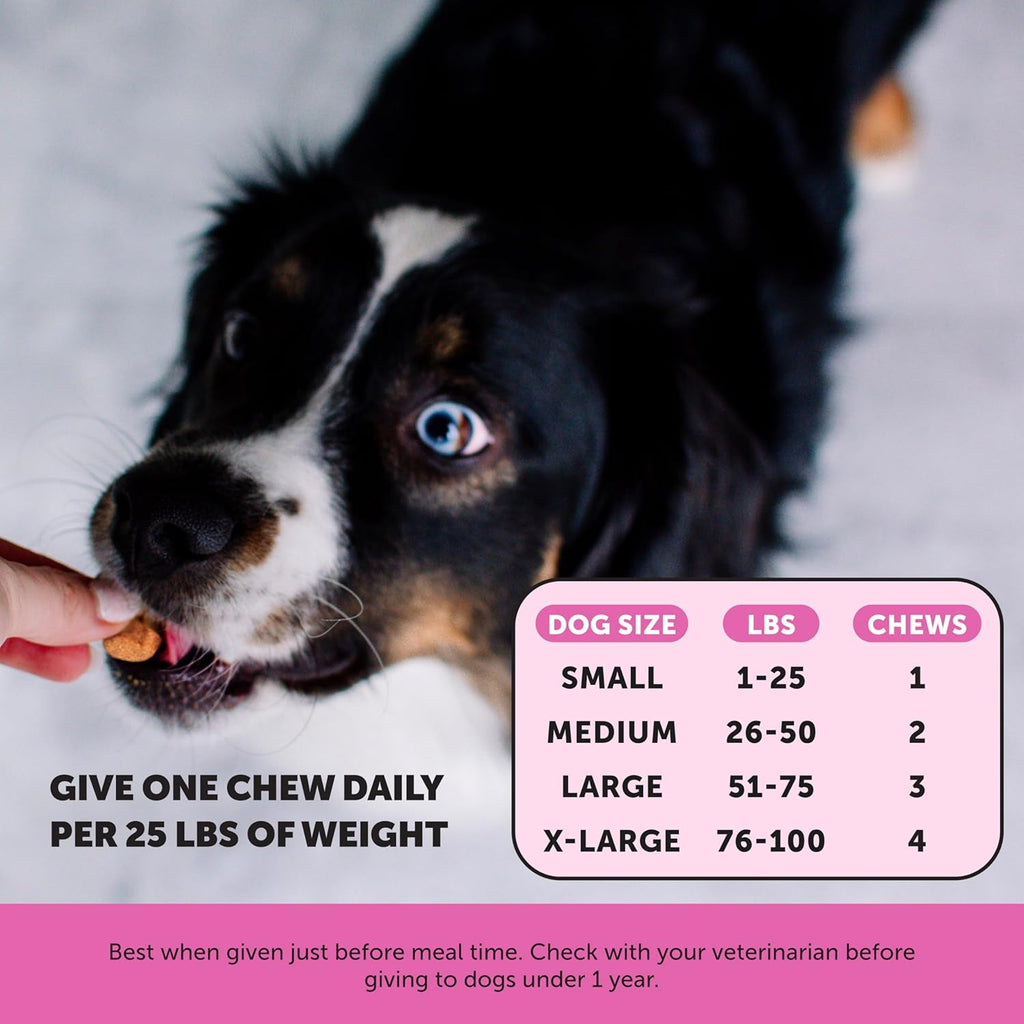 15-in-1 Dog Multivitamin with Glucosamine & Omegas