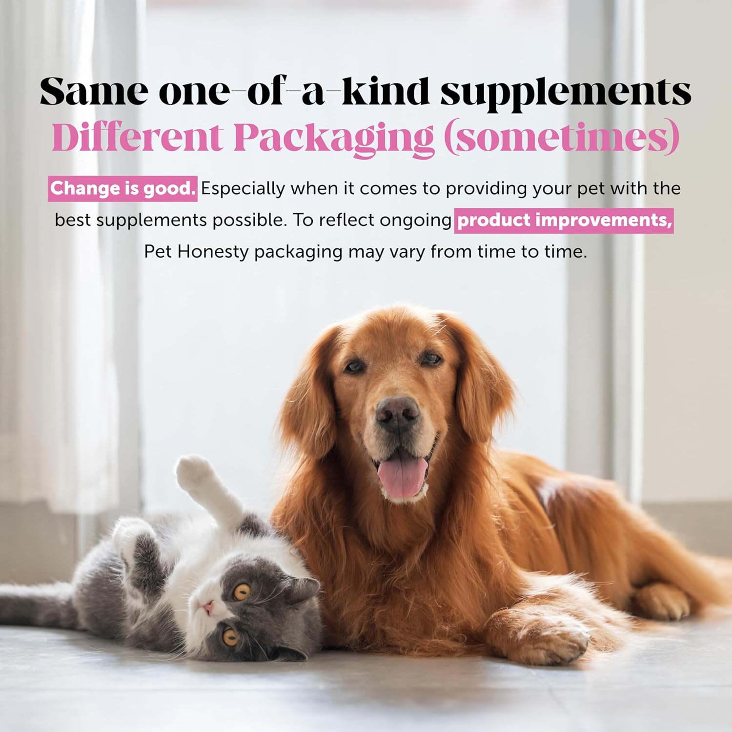 15-in-1 Dog Multivitamin with Glucosamine & Omegas