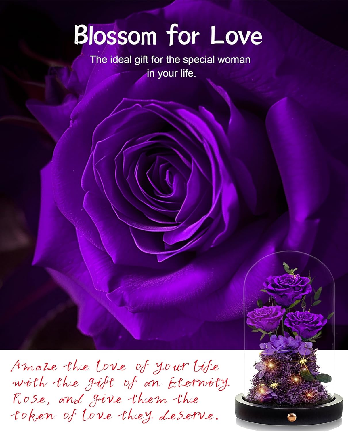 Purple Rose Gift for Her | Romantic Gift for Wife, Girlfriend, or Mom