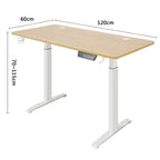 Rise & Work Smart - Electric/Motorized Workstation