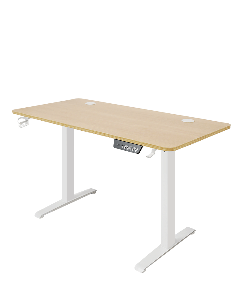 Rise & Work Smart - Electric/Motorized Workstation