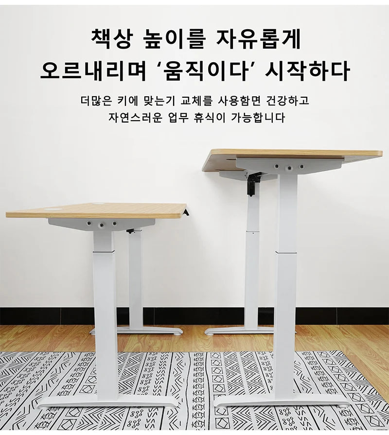 Rise & Work Smart - Electric/Motorized Workstation