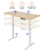 Rise & Work Smart - Electric/Motorized Workstation