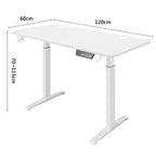 Rise & Work Smart - Electric/Motorized Workstation