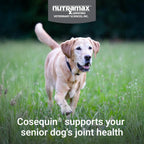 Cosequin Senior Dog Joint Supplement with Glucosamine