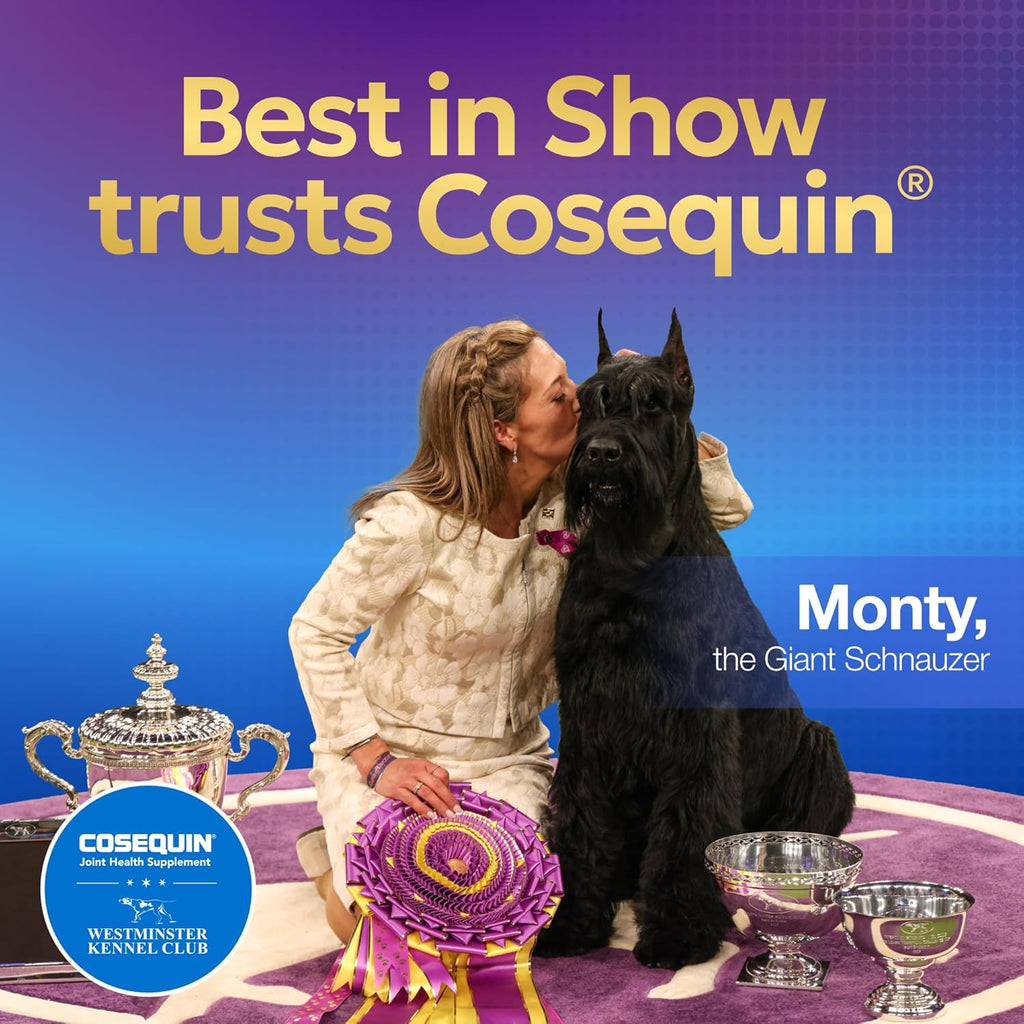 Cosequin Senior Dog Joint Supplement with Glucosamine
