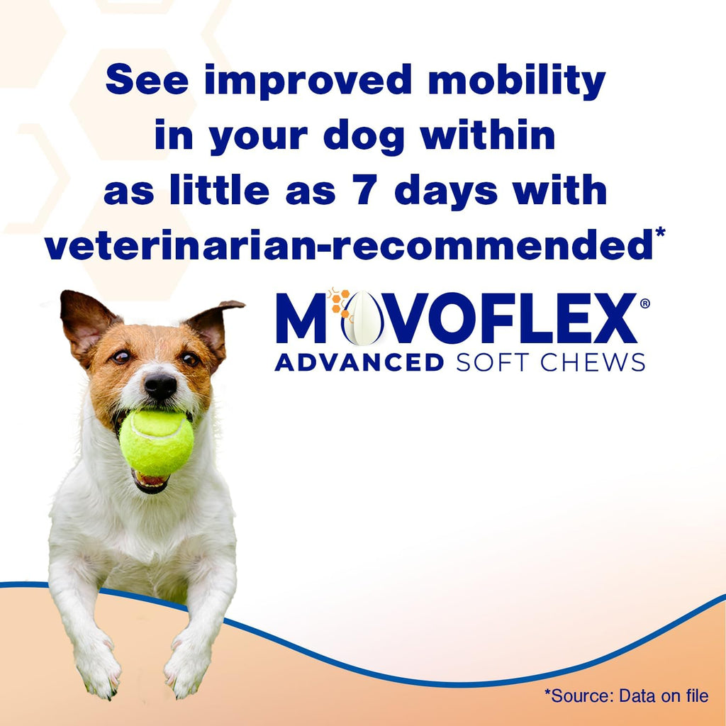 Movoflex Advanced Dog Joint Supplement – 120 Ct