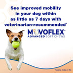 Movoflex Advanced Dog Joint Supplement – 120 Ct