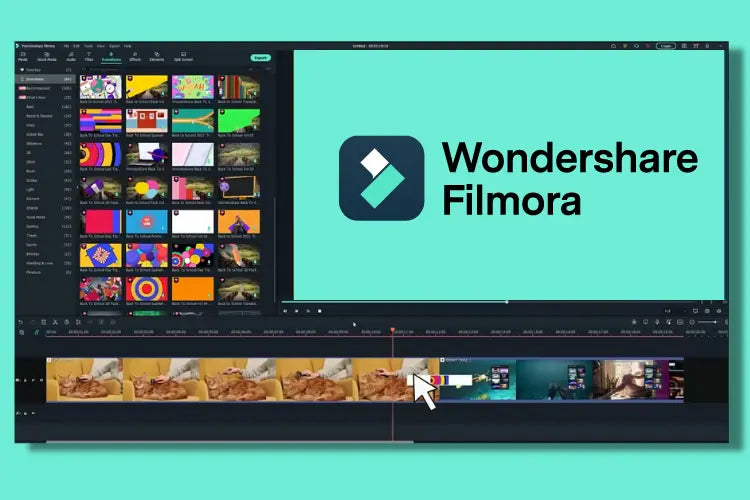 Wondershare Filmora Video Editing Software