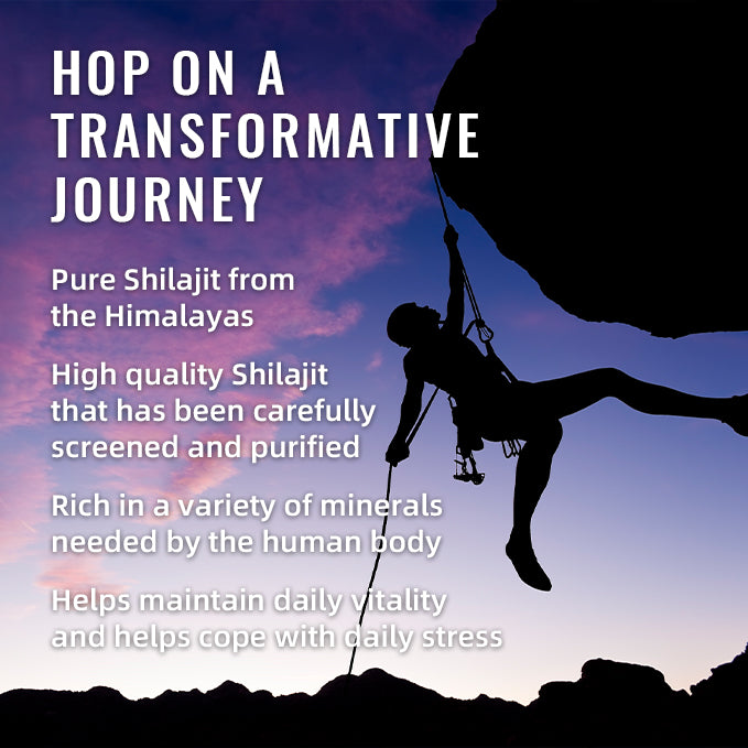 60 Counts BSYS SHILAJIT GUMMIES for Energy