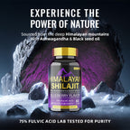 60 Counts BSYS SHILAJIT GUMMIES for Energy