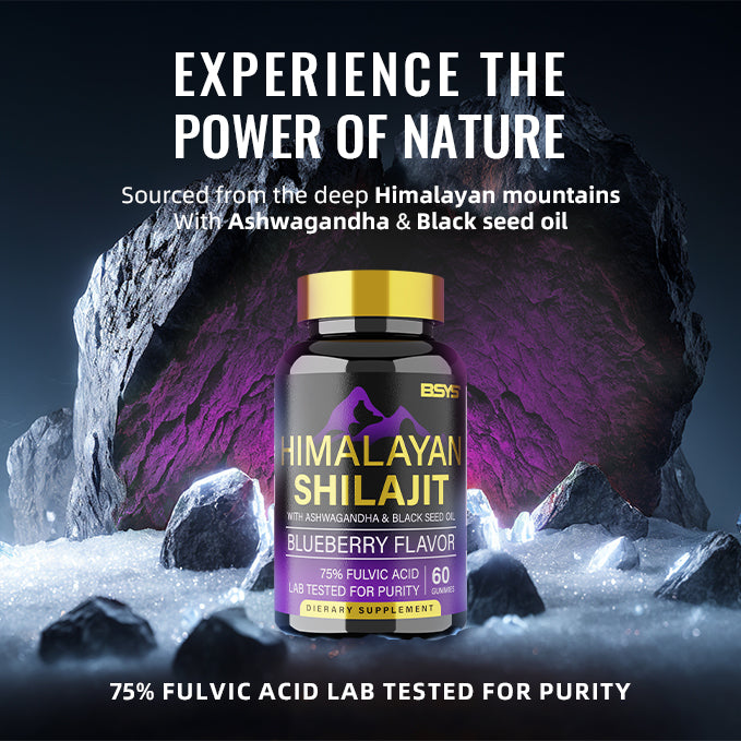 60 Counts BSYS SHILAJIT GUMMIES for Energy
