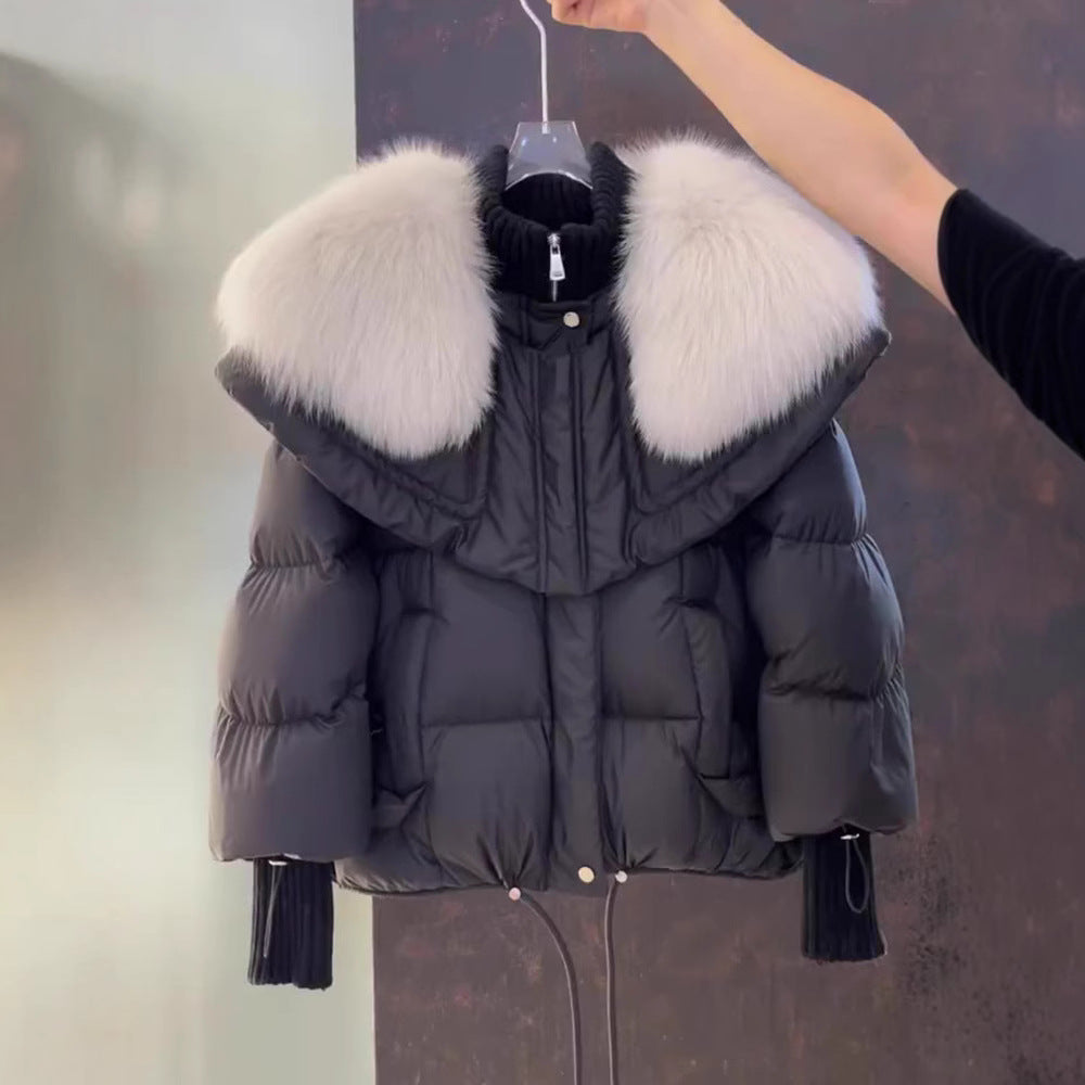 Petite Short Parka Coat: Thick Cotton Jacket with Faux Fur Collar