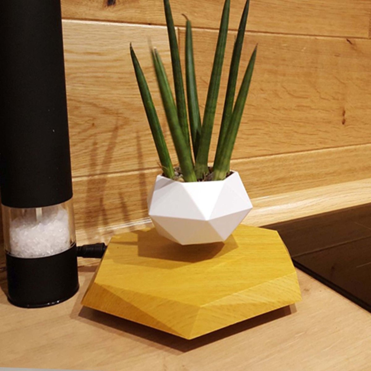 Magnetic Levitating Plant Pot - Sixin1