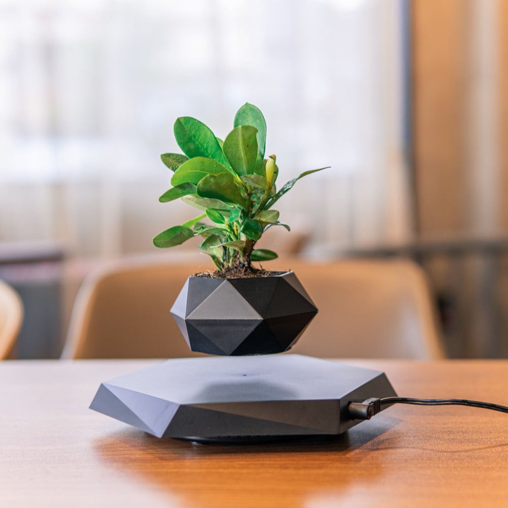 Magnetic Levitating Plant Pot - Sixin1
