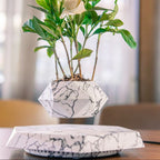 Magnetic Levitating Plant Pot - Sixin1