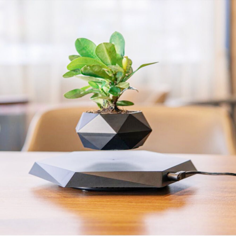 Magnetic Levitating Plant Pot - Sixin1
