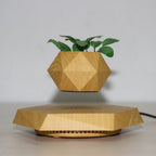 Magnetic Levitating Plant Pot - Sixin1