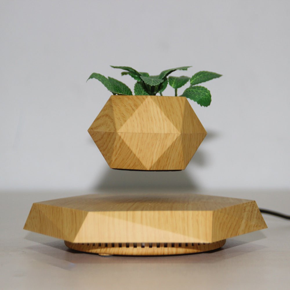 Magnetic Levitating Plant Pot - Sixin1