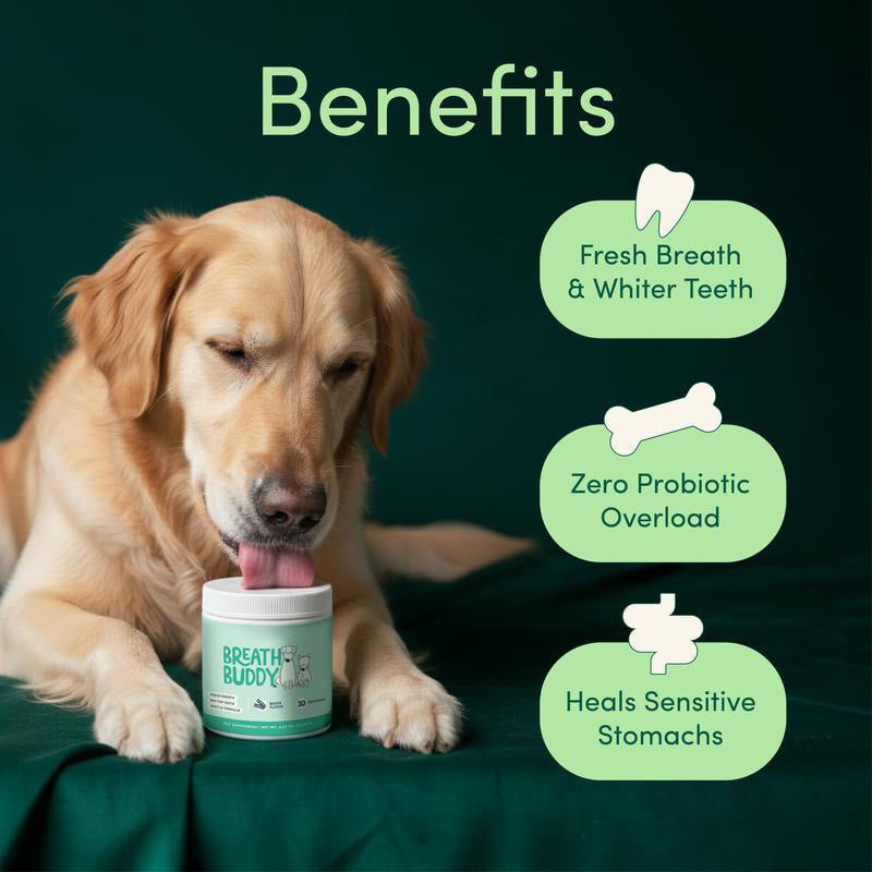 Pet Oral Care Powder for Dogs: Teeth Cleaner, Plaque & Bad Breath Control - Sixin1