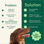 Pet Oral Care Powder for Dogs: Teeth Cleaner, Plaque & Bad Breath Control - Sixin1