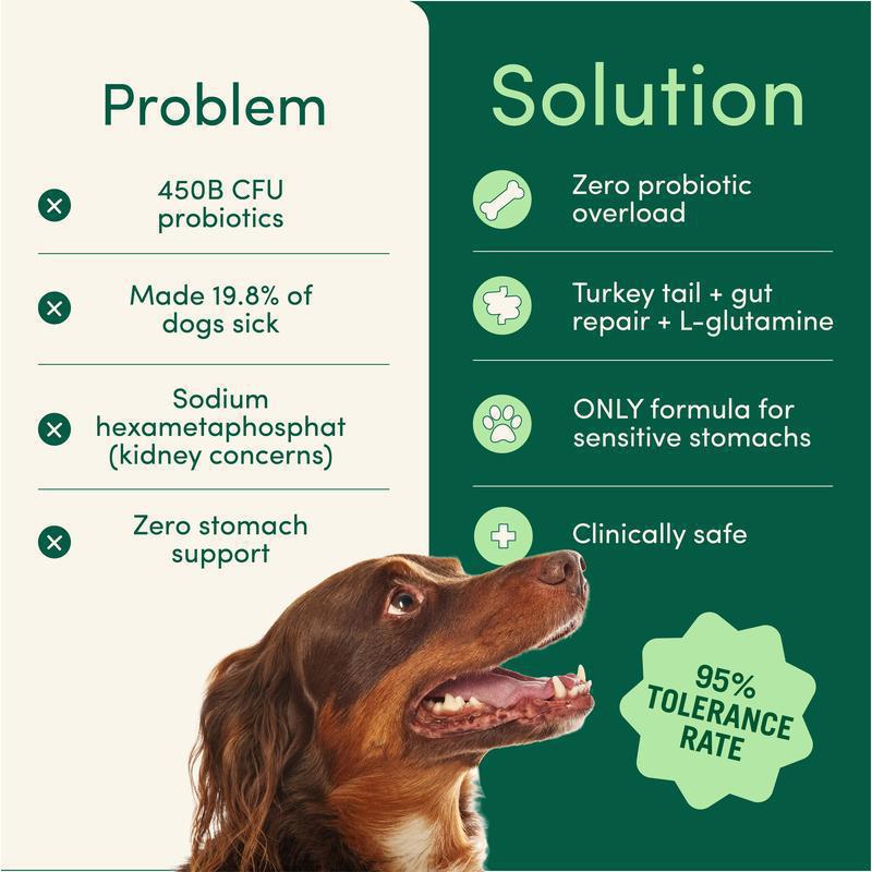 Pet Oral Care Powder for Dogs: Teeth Cleaner, Plaque & Bad Breath Control - Sixin1