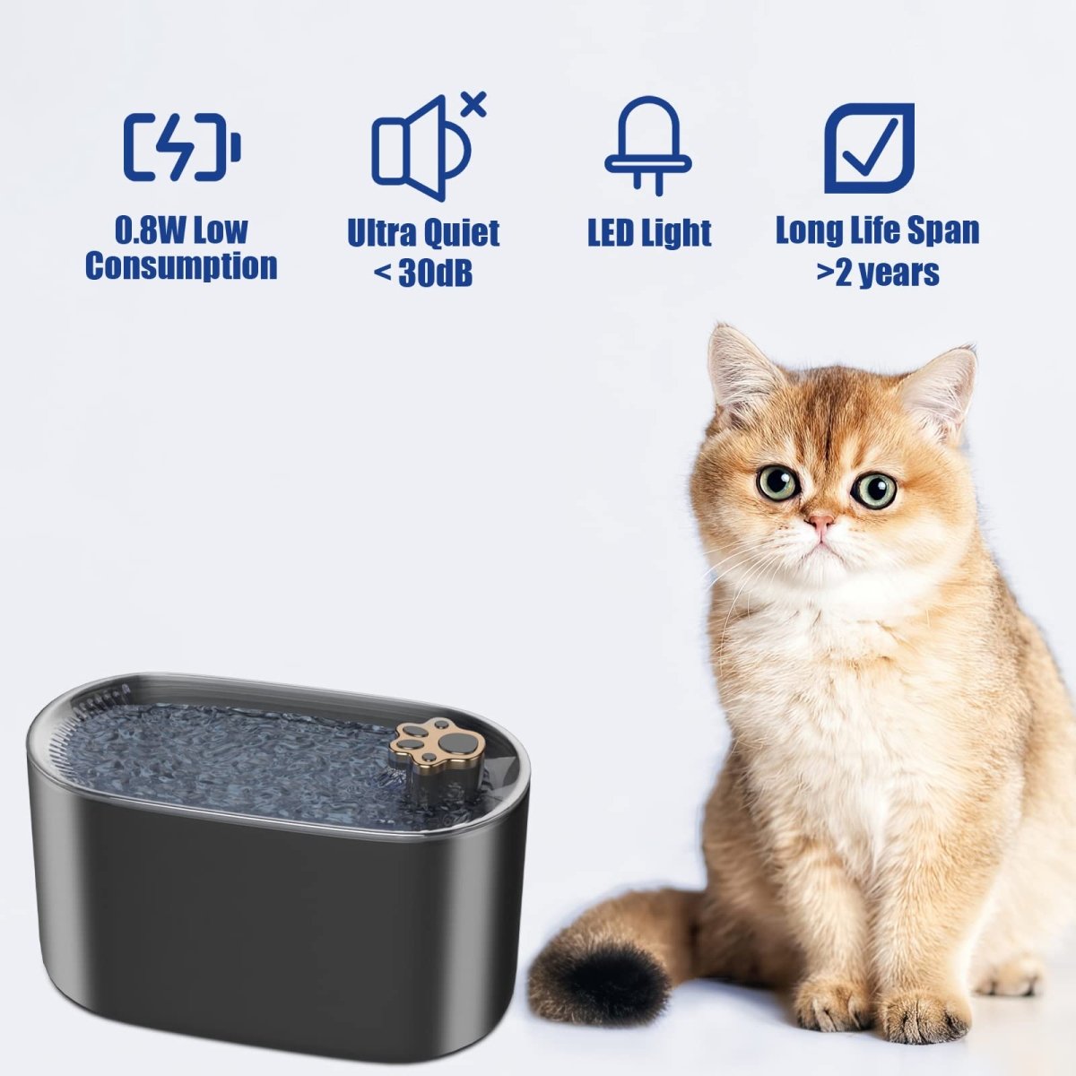 Ultra - Quiet LED Pet Drinking Fountain - Sixin1