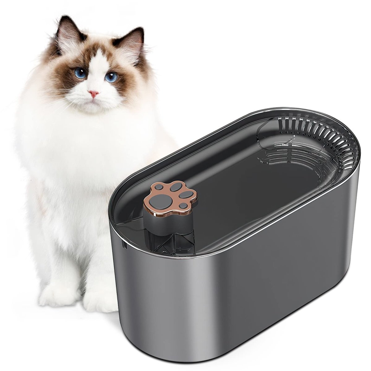 Ultra - Quiet LED Pet Drinking Fountain - Sixin1